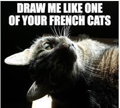 Image result for lolcats