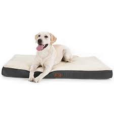 Choose from washable dog beds or luxury dog beds. Buy Bedsure Extra Large Dog Bed For Large Dogs Up To 100lbs Xl Orthopedic Dog Beds With Removable Washable Cover Egg Crate Foam Pet Bed Mat Grey Online In Indonesia B07zgmzpw9