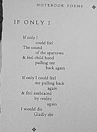 Morrison Jim Morrison Poems Words