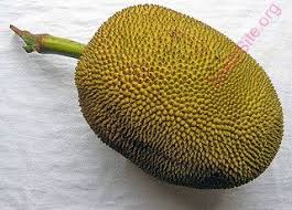 Kerala has 14 districts and one can easily say it ahs a at least 14 slangs….some districts have 2 slangs…….e.g. English To Bengali Dictionary Meaning Of Jackfruit In Bengali Is à¦ªà¦¨à¦¸ à¦•à¦£ à¦Ÿà¦• à¦« à¦²