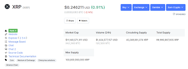 This year the company ripple and its crypto currency xrp had a lot going on: How To Trade Ripple Xrp Buy Sell Trading Guide