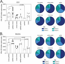 A few months ago there were 200. Heterologous Vaccination Regimens With Self Amplifying Rna And Adenoviral Covid Vaccines Induce Robust Immune Responses In Mice Biorxiv