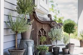 Setting up a small indoor herb garden is one of the easiest ways to get started with indoor gardening. Everything You Need To Know About Growing An Herb Garden Indoors Orange County Register