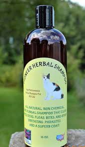 Dog Cat Flea Tick Shampoo 100 Natural Itch Relief Etsy Fleas Cat Shampoo Cat Fleas