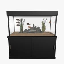 Aquarium Goldfish And Catfish Animation 3d Model Ad Goldfish Aquarium Catfish Model Visual Design Trends Icon Design Inspiration Goldfish