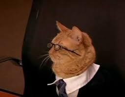 Our meme creator has over 400+ flexible meme templates that you can customize to your needs. Lawyer Cat Blank Template Imgflip