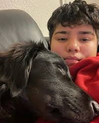 Top Sitting in Franklin Square