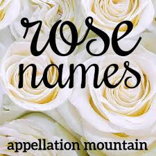 One of the famous singers with the last name rose, he is best known as the vocalist for guns n' roses. Rose Names Rosalie Rosemary Primrose Appellation Mountain