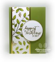 Elegant Birthday Cards For Women Easy And Elegant Birthday Card Stampin Up Demo Ann M Clemmer Stamper Dog Card Ideas Simple Birthday Cards Paper Cards Simple Cards