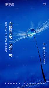 二十四节气之白露移动端海报 movie posters poster movies