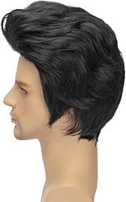 Black Short Costume Wig for Men Cosplay Halloween Role Play Wig for Adults  50's 60's Rock Legend Costume Accessories