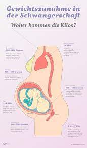 Die gewichtszunahme in der schwangerschaft beginnt etwa mit dem vierten monat. Gewichtszunahme In Der Schwangerschaft Woher Kommen Die Kilo Ava