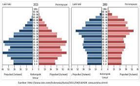 Kedua fokus ini ialah hal literasi dan numerasi. Contoh Soal Akm Asesmen Kompetensi Minimum Geografi Dan Jawabannya Guru Geografi