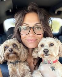 What can I feed my Rottweiler along with his kibbles to help him gain  weight