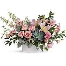 We did not find results for: Send Succulents Newburyport Ma Flower Delivery Bloomnation
