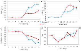 O in this culture, single cells. Ijms Free Full Text In Vitro Study Of The Anticancer Effects Of Biotechnological Extracts Of The Endangered Plant Species Satureja Khuzistanica Html