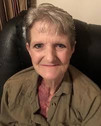 Darlene Anne Morin Pitcher Obituary (2023)