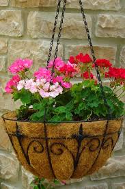 Check spelling or type a new query. Pin On Container Gardening