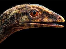 We did not find results for: Scientists Now Know The Origins Of Pterosaurs The Dinosaur Era S Flying Reptiles Flying Beasts The Economic Times