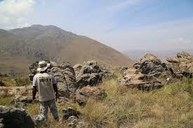 New research prompts urgent call to protect Madagascar's unique  biodiversity before it's too late