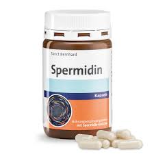 Spermidine bir ribozomlarda ve canlı dokularda bulunan ve organizmalar içinde çeşitli metabolik fonksiyonları olan poliamin bileşiği (c 7h19n3). Spermidine Capsules Buy Securely Online Now Sanct Bernhard