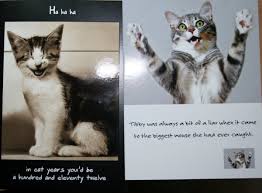 Scroll down for the history of chicken jokes by legendary chicken farmer, jj jingleheimer schmdit. Funny Quotes About Cats Quotesgram