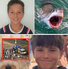 He went into the water laughing… and never came home the same” — inside the  final days of 12-year-old Nico Antic after the Sydney Harbour shark attack  that stunned the world 👇👇👇