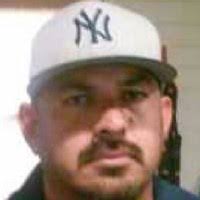 70+ "Yslas" profiles