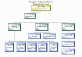 Download Example Organizational Chart For Small Business