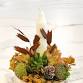 Succulents on Birch!; A Living Candle Arrangement event image