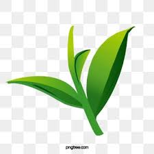 Gambar baru diunggah setiap minggu. Lukisan Daun Hijau Cikimm Com