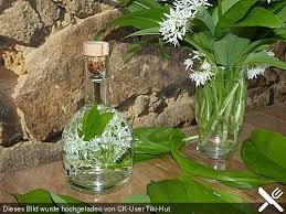Barlauchbluten Essig Von Krauterjule Chefkoch Barlauch Rezepte Essig Essig Selber Machen
