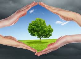 This Is A Page By Pledge To Reduce Air Pollution Facebook