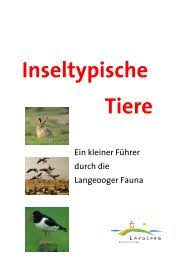 Wir empfehlen den abschluss einer reiserücktrittsversicherung! Freie Un Terkunfte Online W W W Langeoog De