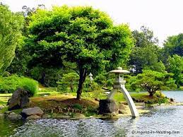Japanese Garden Buffalo Ny Wedding Pictures Tap Tap Tap Weddding Pictures Japanese Garden Beautiful Park Buffalo