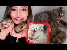 Kedim Dogurdu 6 Cocugumuz Oldu Youtube 2020 Kedi Instagram Olinda