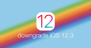 How To Downgrade Ios 12 3 To Ios 12 2 On Iphone Ipad Or Ipod Touch