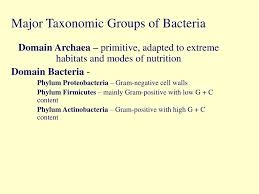 Ppt Prokaryotic Profiles The Bacteria And The Archaea Powerpoint Presentation Id 6135464