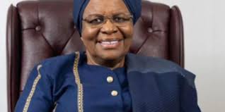 President Akufo-Addo commissions stone age park in Ghana's Eastern Region