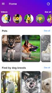 Loyal, energetic, and affectionate, these pups inherited some of the best qualities from both. Ypetbook For Android Apk Download