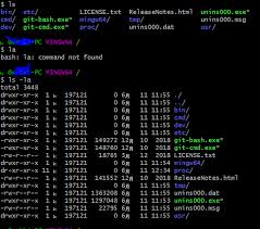Git Gitbushでユーザー名が登録できない Teratail
