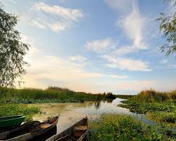 Pachetele all inclusive delta dunarii 2021 includ cazarea, 3 mese pe zi (mic dejun + pranz + cina) si diferite servicii suplimentare in functie de hotel. 200 Delta Dunarii Ideas Danube Delta Danube Romania