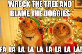 Image result for christmas memes