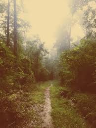 Hitchcock Woods James Redd Iphonography Photo Landscape Favorite Places