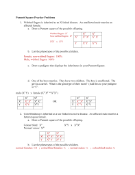 Predict the genotypic and phenotypic outcome. Genetics Punnett Square Practice Worksheet Answers Punnett Square Practice 2