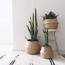 Seagrass Basket Natural Dos Ombre Handgemachte Wohndekoration Korb Und Kiste Pflanzen