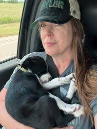 This is Frank Epps Lily playing with the big dogs! She is quite the  pistol!!!