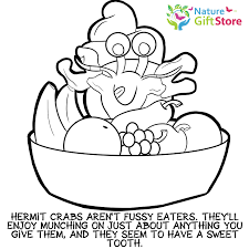 An elephant never forgets…to brush his teeth! Hermit Crabs Coloring Page 17 Nature Gift Store