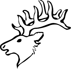 Deer head coloring pages coloring pages. Free Printable Deer Coloring Pages For Kids