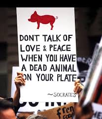 Don T Talk Of Love And Peace When You Have A Dead Animal On Your Plate Peace Begins On Your Plate Go Vegan Animals Animal Slaughter Animal Activism